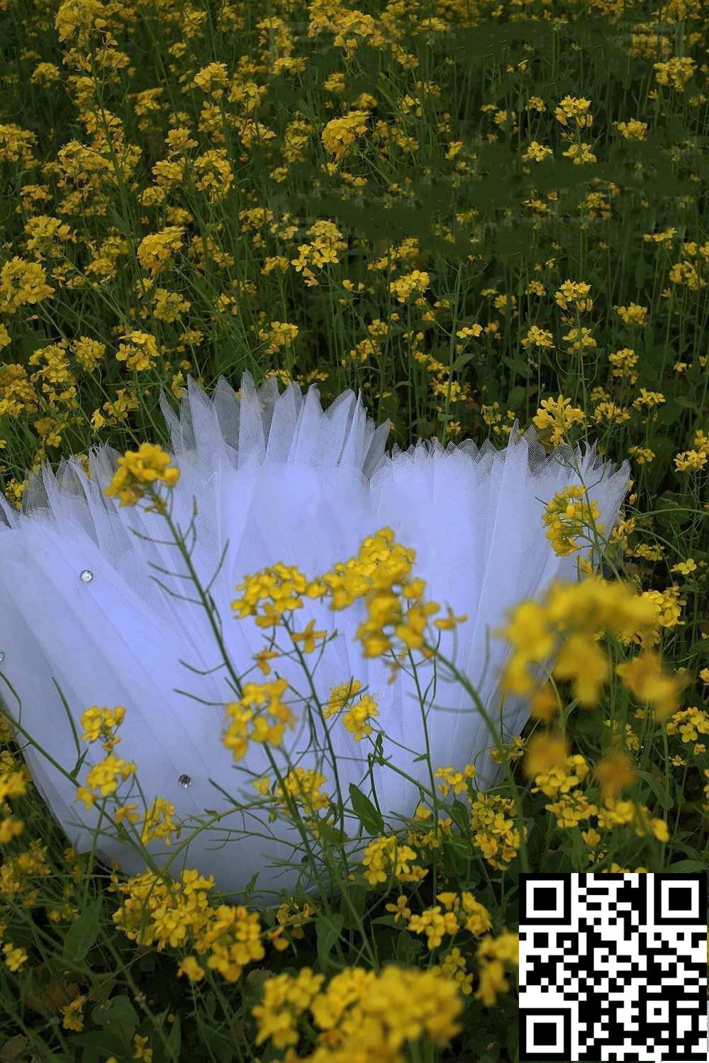 油菜地里一骚娘们[20P]