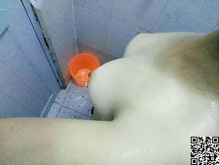 乳大毛多性欲强[13P]